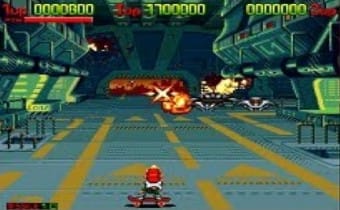 Caccia all'Alligatore