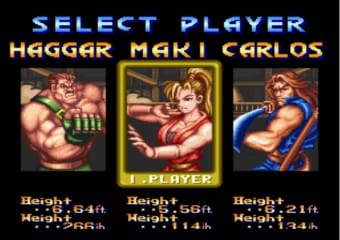 Final Fight 2