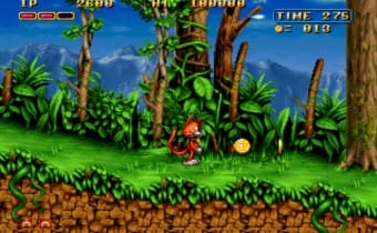 Avventura Magica del Gatto