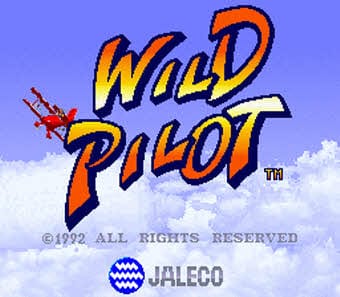 Wild Pilot